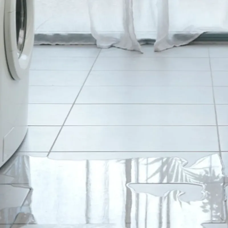 Appliance Leak Cleanup in Divide County, ND