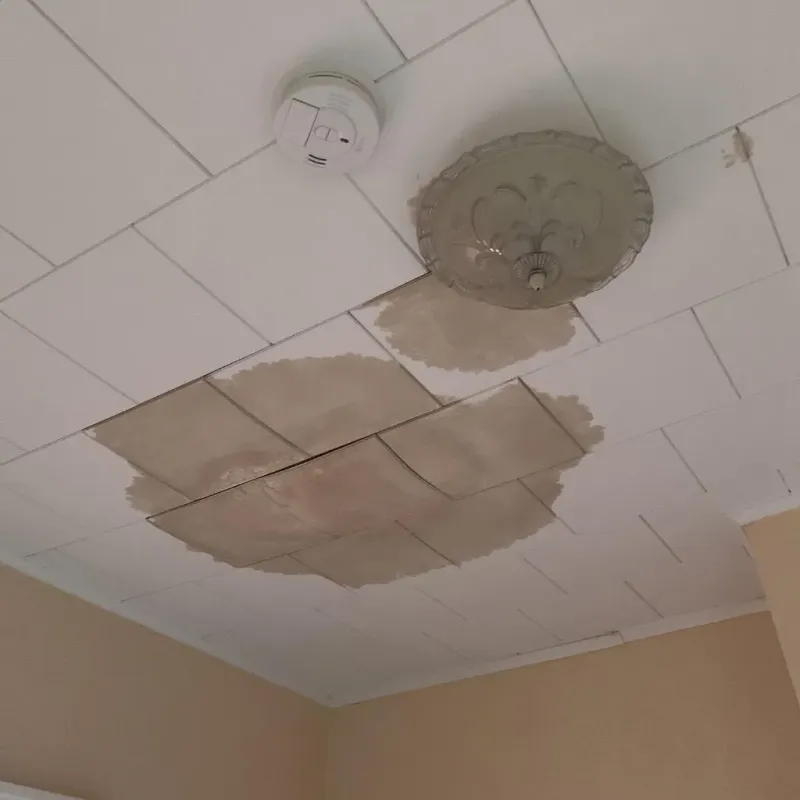 Ceiling Water Damage Repair in Divide County, ND