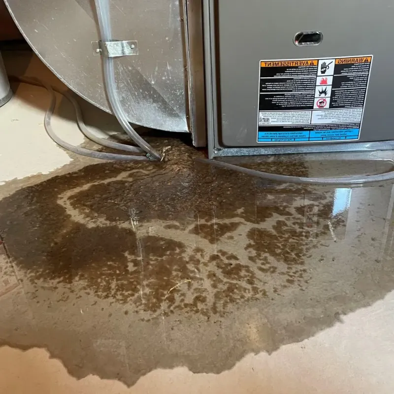 Pipe Burst and Leak Restoration in Divide County, ND