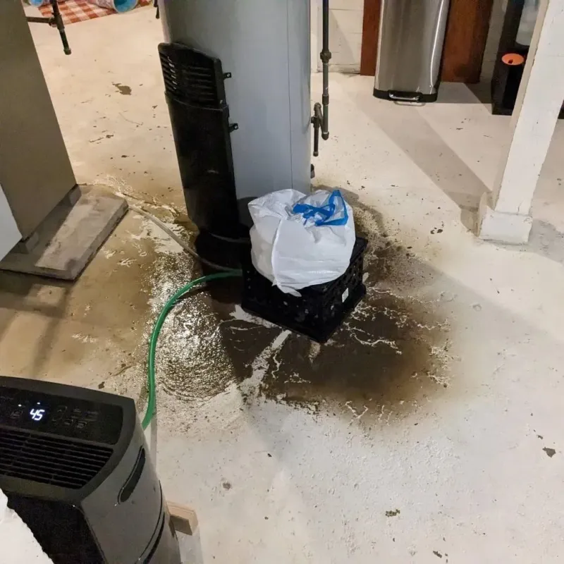 Sewage Backup Cleanup Service in Divide County, ND